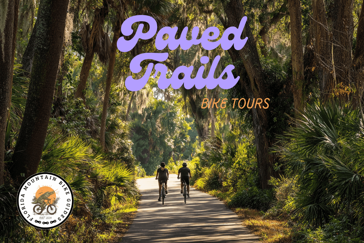 Scenic paved trail background texture